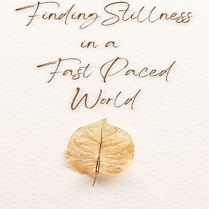 Finding Stillness in a Fast World
